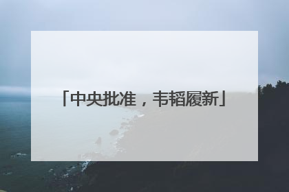 中央批准，韦韬履新