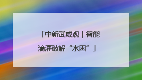 中新武威观｜智能滴灌破解“水困”