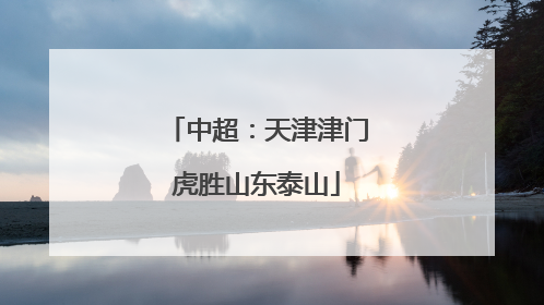 中超：天津津门虎胜山东泰山