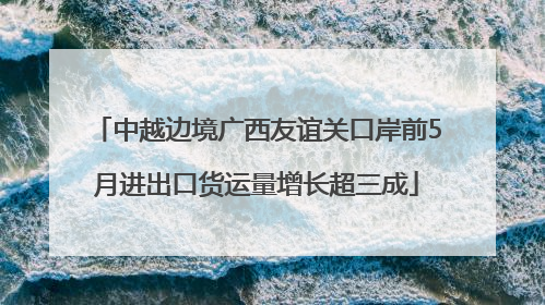 中越边境广西友谊关口岸前5月进出口货运量增长超三成