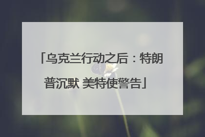 乌克兰行动之后：特朗普沉默 美特使警告