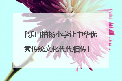 乐山柏杨小学让中华优秀传统文化代代相传