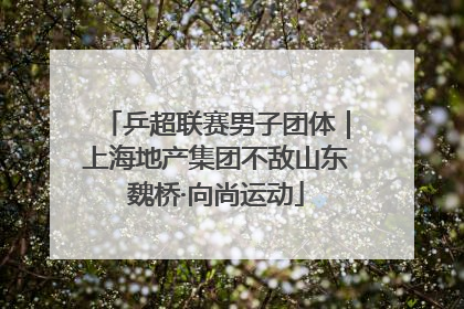 乒超联赛男子团体｜上海地产集团不敌山东魏桥·向尚运动