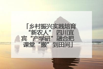 乡村振兴实践培育“新农人” 四川宜宾“产学研”融合把课堂“搬”到田间