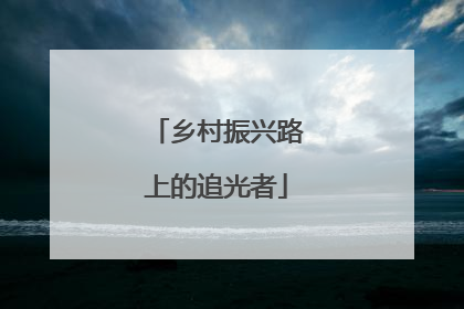 乡村振兴路上的追光者