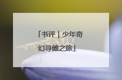书评｜少年奇幻寻傩之旅