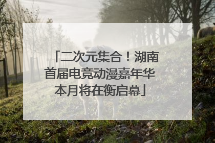 二次元集合！湖南首届电竞动漫嘉年华本月将在衡启幕