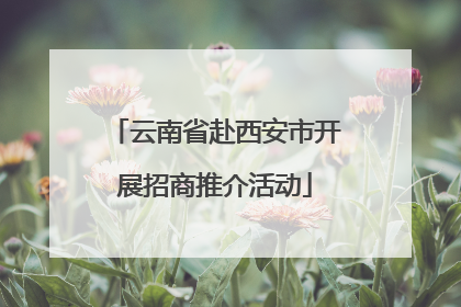 云南省赴西安市开展招商推介活动