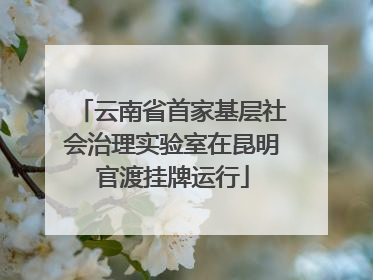 云南省首家基层社会治理实验室在昆明官渡挂牌运行