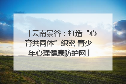 云南景谷：打造“心育共同体”织密 青少年心理健康防护网