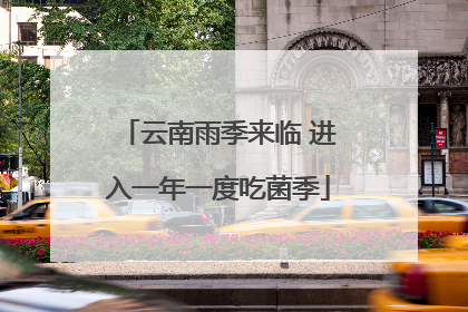 云南雨季来临 进入一年一度吃菌季