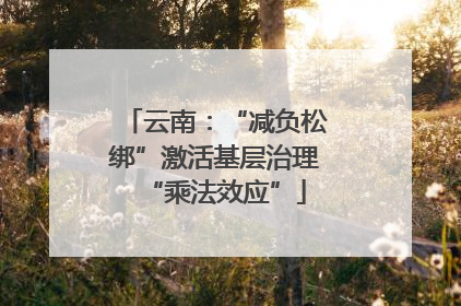 云南：“减负松绑”激活基层治理“乘法效应”