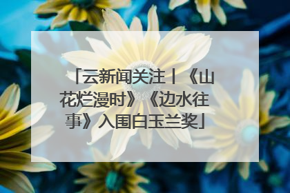 云新闻关注丨《山花烂漫时》《边水往事》入围白玉兰奖