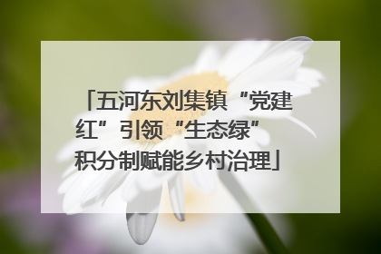 五河东刘集镇“党建红”引领“生态绿” 积分制赋能乡村治理