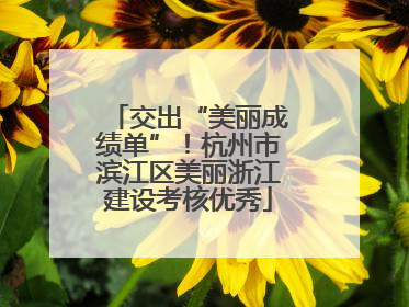 交出“美丽成绩单”！杭州市滨江区美丽浙江建设考核优秀