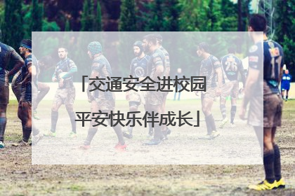 交通安全进校园 平安快乐伴成长