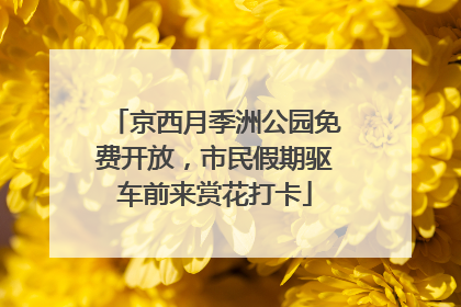 京西月季洲公园免费开放，市民假期驱车前来赏花打卡