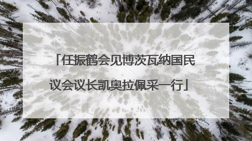 任振鹤会见博茨瓦纳国民议会议长凯奥拉佩采一行