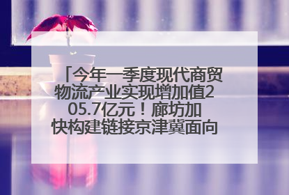 今年一季度现代商贸物流产业实现增加值205.7亿元！廊坊加快构建链接京津冀面向全世界的物流通道