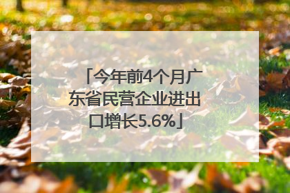 今年前4个月广东省民营企业进出口增长5.6%