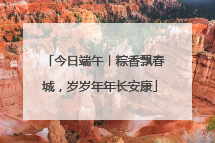 今日端午丨粽香飘春城，岁岁年年长安康