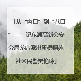 从“窗口”到“巷口”——记东湖高新公安分局茅店派出所梧桐苑社区民警樊艳玲