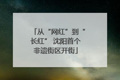 从“网红”到“长红” 沈阳首个非遗街区开街