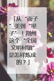 从“面子”美到“里子”！荆州这个“全国文明村镇”是怎样炼成的？