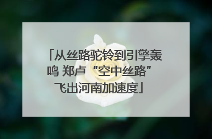 从丝路驼铃到引擎轰鸣 郑卢“空中丝路”飞出河南加速度