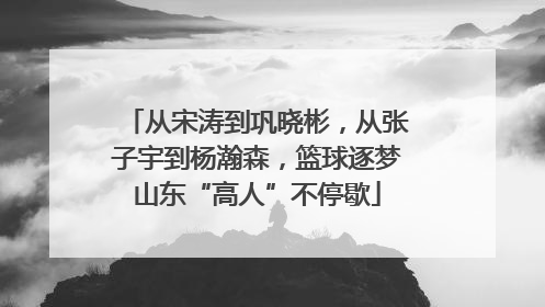从宋涛到巩晓彬，从张子宇到杨瀚森，篮球逐梦山东“高人”不停歇