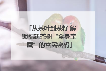从茶叶到茶籽 解锁福建茶树“全身宝藏”的富民密码