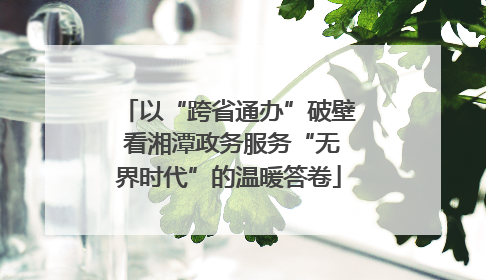 以“跨省通办”破壁 看湘潭政务服务“无界时代”的温暖答卷