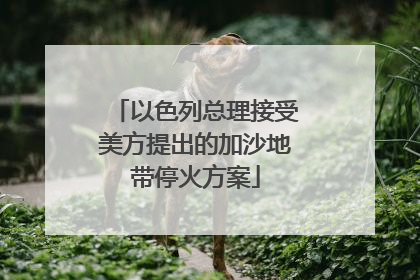 以色列总理接受美方提出的加沙地带停火方案