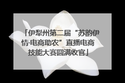 伊犁州第二届“苏韵伊情·电商助农”直播电商技能大赛圆满收官