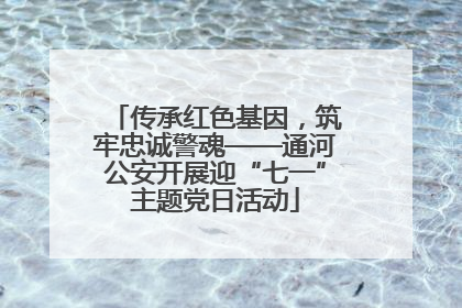 传承红色基因，筑牢忠诚警魂——通河公安开展迎“七一”主题党日活动