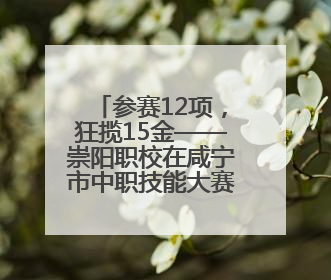 参赛12项，狂揽15金——崇阳职校在咸宁市中职技能大赛斩获佳绩