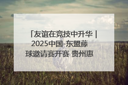 友谊在竞技中升华｜2025中国-东盟藤球邀请赛开赛 贵州惠水燃动“空中芭蕾”