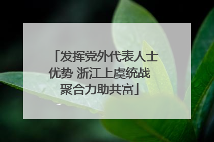 发挥党外代表人士优势 浙江上虞统战聚合力助共富