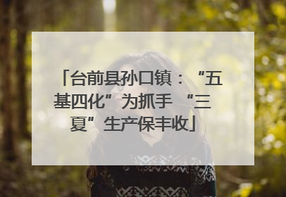 台前县孙口镇：“五基四化”为抓手 “三夏”生产保丰收