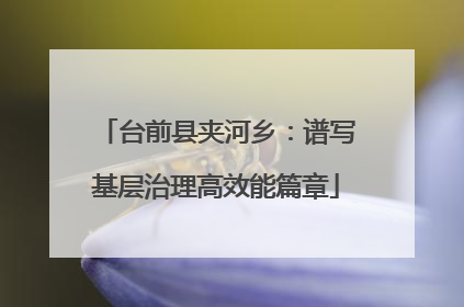 台前县夹河乡：谱写基层治理高效能篇章