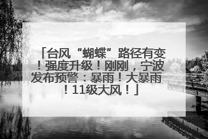 台风“蝴蝶”路径有变！强度升级！刚刚，宁波发布预警：暴雨！大暴雨！11级大风！