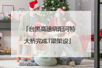 台黑高速绕阳河特大桥完成T梁架设