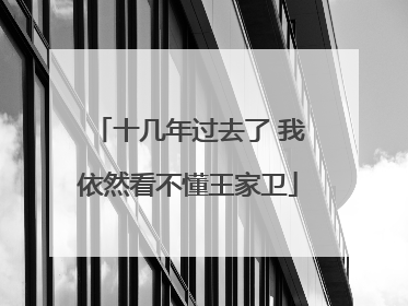 十几年过去了 我依然看不懂王家卫