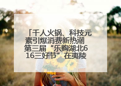 千人火锅、科技元素引爆消费新热潮 第三届“乐购湖北616三好节”在夷陵区盛大启幕