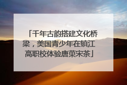 千年古韵搭建文化桥梁，美国青少年在镇江高职校体验唐菓宋茶