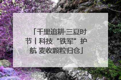 千里追耕·三夏时节丨科技“铁军”护航 麦收颗粒归仓