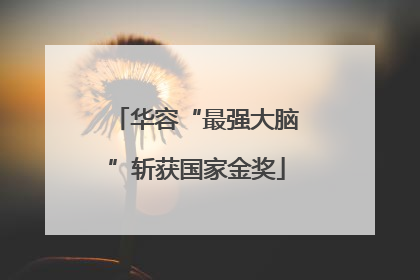 华容“最强大脑”斩获国家金奖