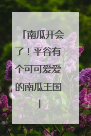 南瓜开会了！平谷有个可可爱爱的南瓜王国