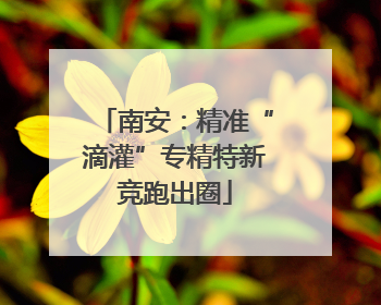 南安：精准“滴灌”专精特新竞跑出圈