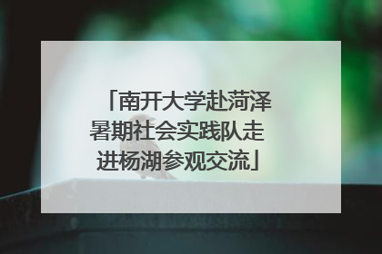 南开大学赴菏泽暑期社会实践队走进杨湖参观交流